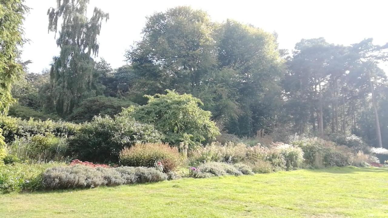 Many Worlds Meet - Eurostar, Wimbledon 30 Mins, Central London, Gatwick 15 Mins - Spacious, Sleeps Up To 16 Plus Cot - Free Wifi, Parking - Next To Lloyd Park, Great For Families, Walkers, Relocators - Ideal For Contractors Κρόιντον Εξωτερικό φωτογραφία