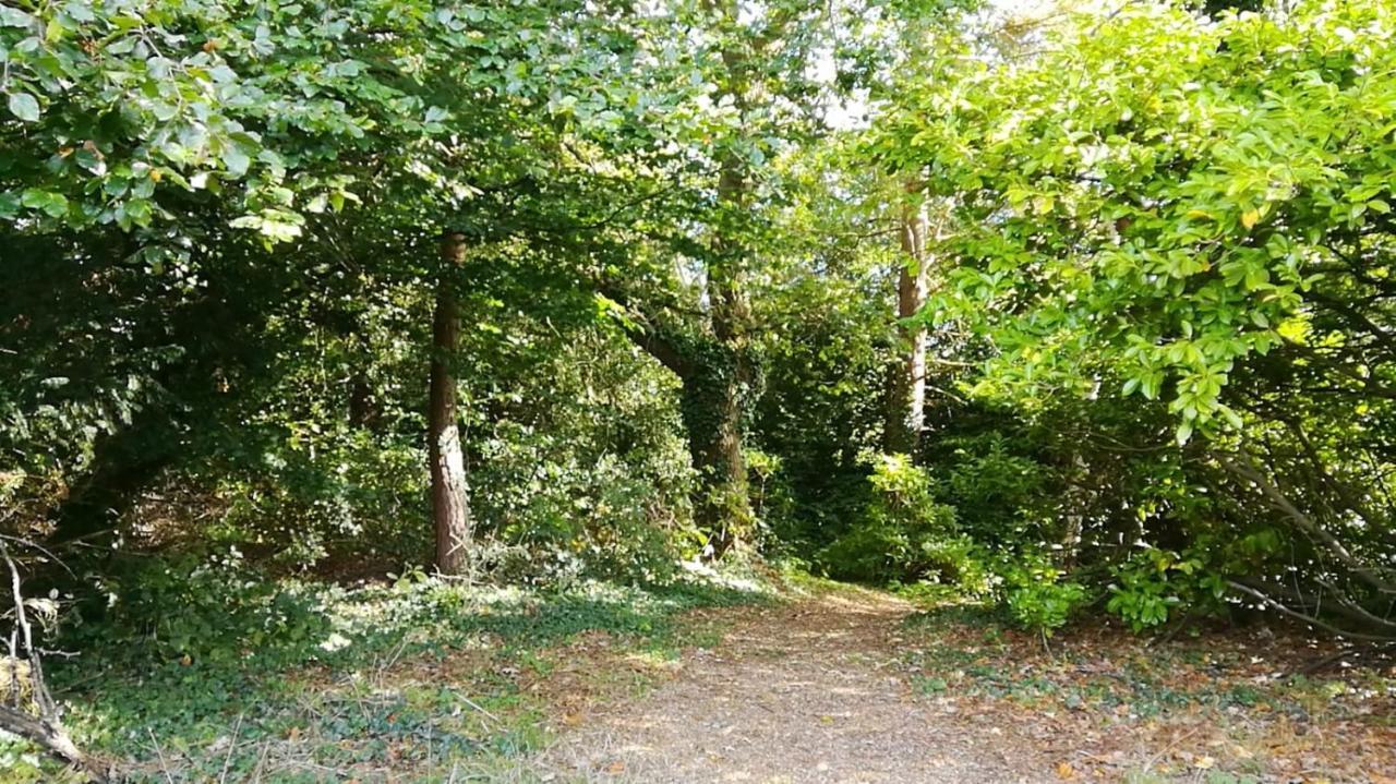 Many Worlds Meet - Eurostar, Wimbledon 30 Mins, Central London, Gatwick 15 Mins - Spacious, Sleeps Up To 16 Plus Cot - Free Wifi, Parking - Next To Lloyd Park, Great For Families, Walkers, Relocators - Ideal For Contractors Κρόιντον Εξωτερικό φωτογραφία